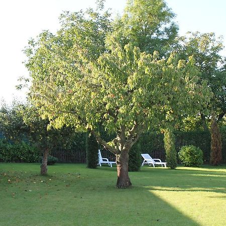 Landsitz Ruegen Glowe Exterior foto